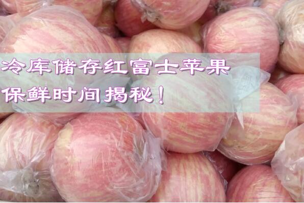冷庫儲存紅富士蘋果，保鮮時間揭秘!