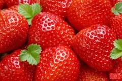 蔬菜水果食品保鮮冷庫(kù)安裝還是要找專業(yè)的公司來完成